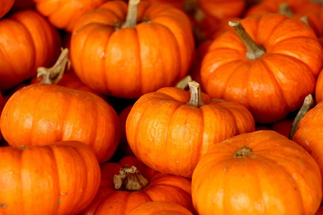 Chips croccanti di zucca al forno