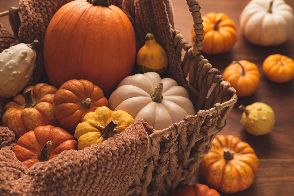 Cordon Bleu di zucca e provola