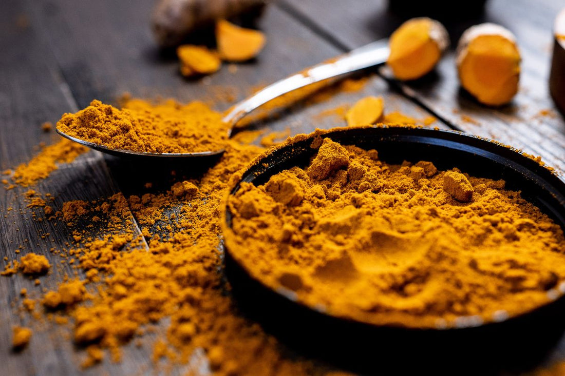 Curcuma: un tesoro dorato per la tua cucina