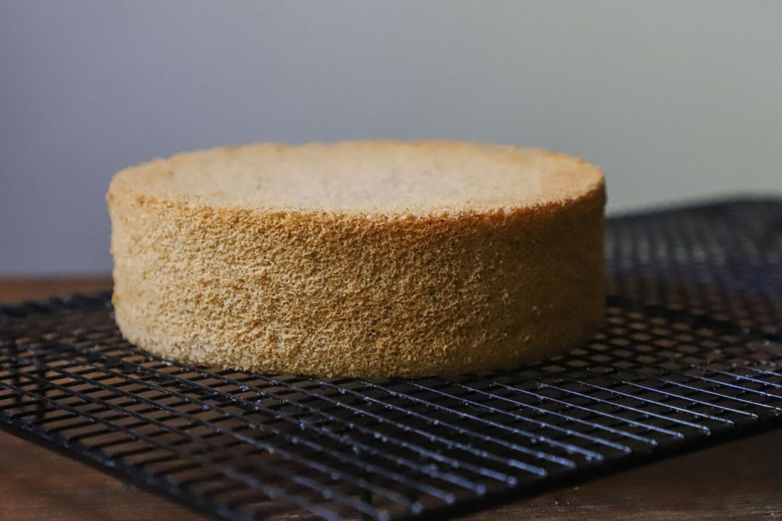 Pan di Spagna CHETOGENICO