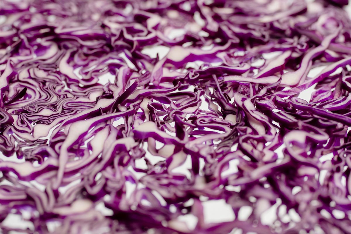 Pasta integrale con cavolo viola, semi di sesamo nero e Grana Padano DOP