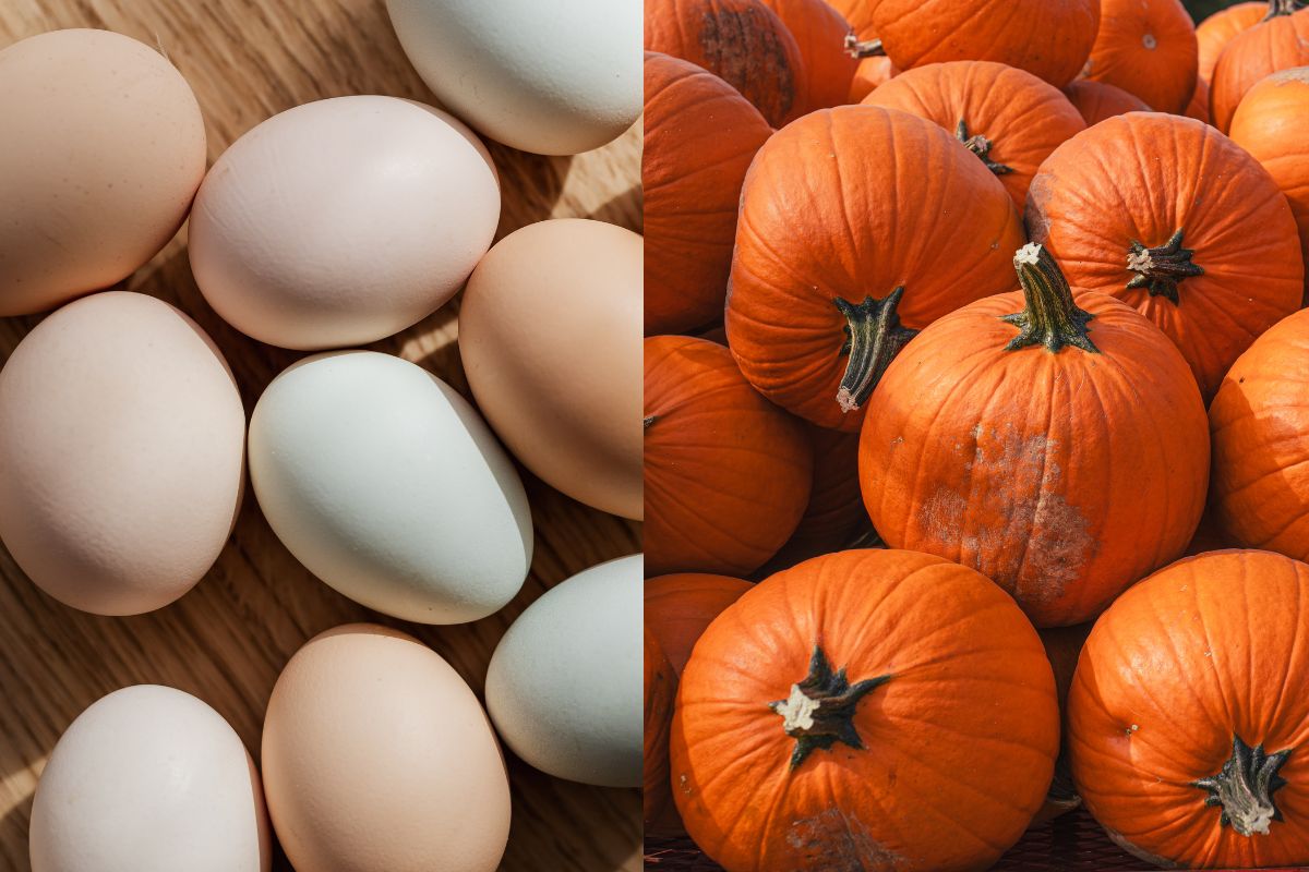 Uovo al tegamino nella zucca
