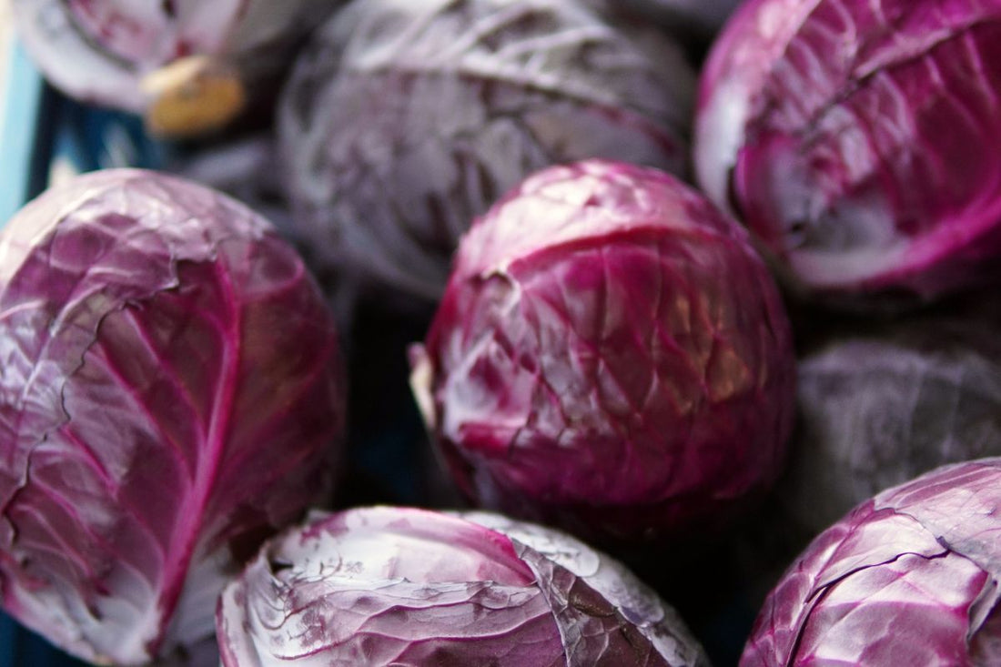 Vellutata di cavolfiore e cavolo cappuccio viola